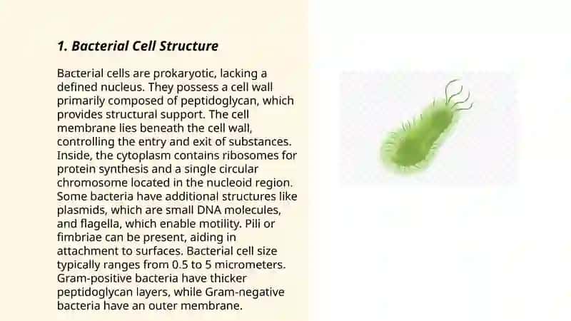Bacteria 3