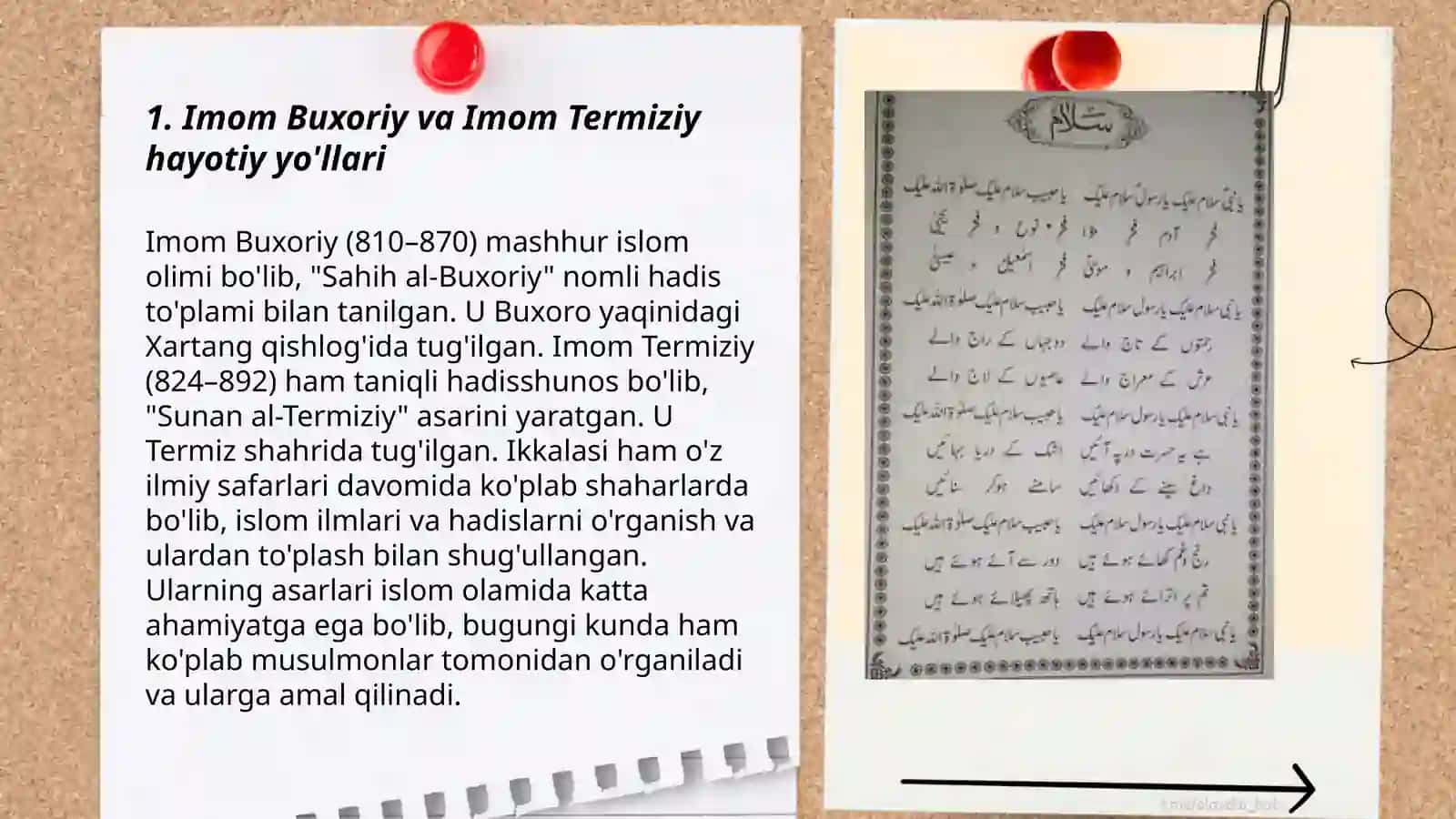 Imom Buxoriyning Imom Termiziyning hadis ilmiga qo'shgan hissasining qiyosiy tahlili 3