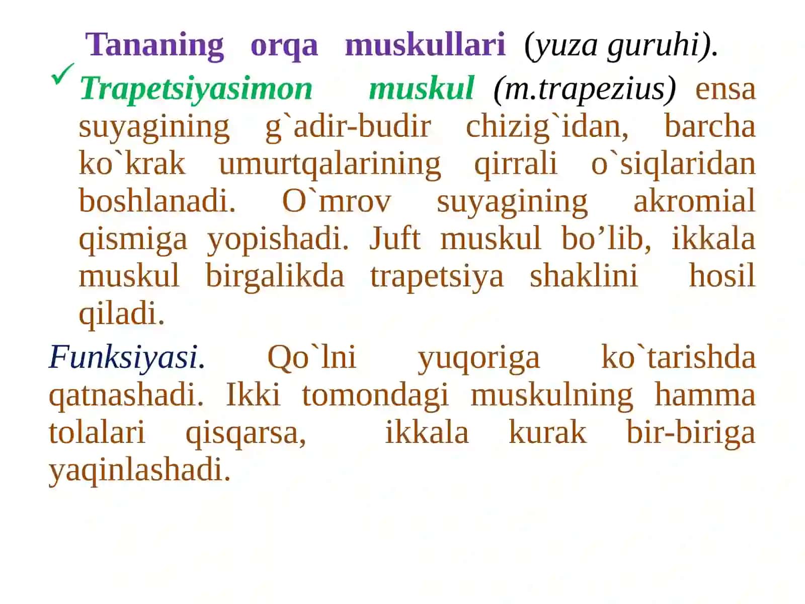Miologiya. Gavda muskullari. Tananing orqamushaklari 3