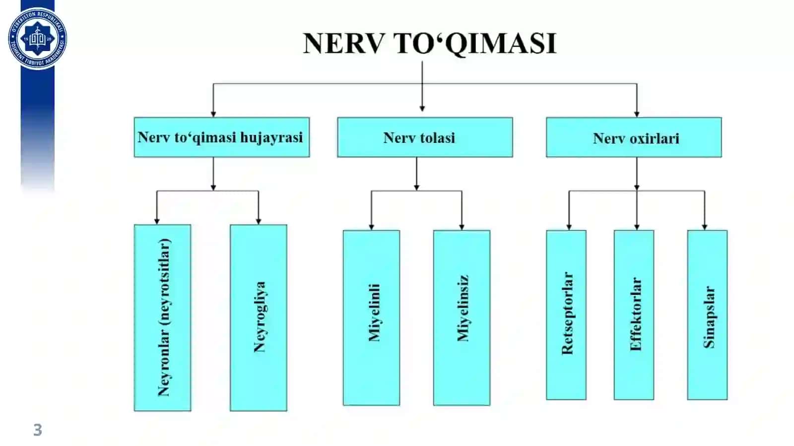 NERV TO‘QIMASI NEYRONLAR VA NEYROGLIYA 3
