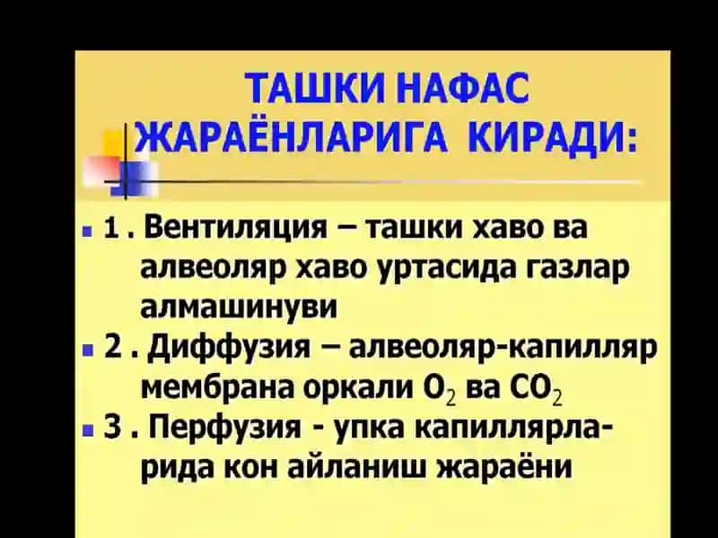 Nafas olish funksiyasini o'rganishning patofiziologik asoslari 3