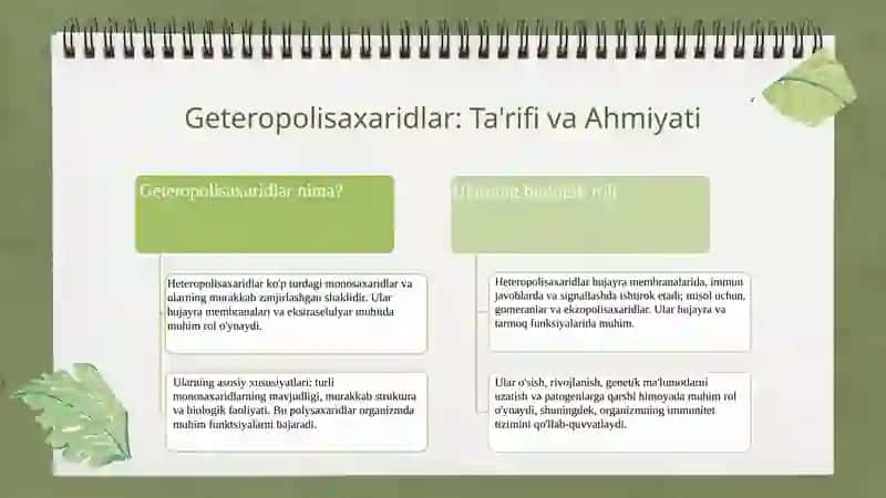 Geteropolisaxaridlarni ontogenez va kasalliklardagi oʻrni 3