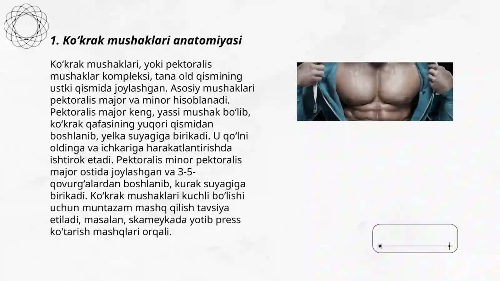 Koʻkrak mushaklari anatomiyasi 3