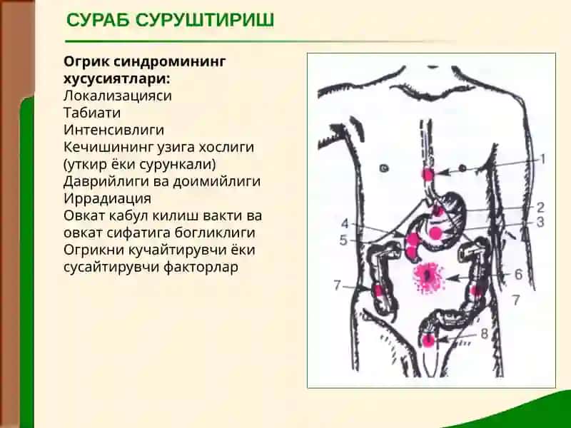 ОВКАТ ХАЗМ КИЛИШ АЪЗОЛАРИ КАСАЛЛИКЛАРИ БУЛГАН БЕМОРЛАРНИ ТЕКШИРИШ. СУРАБ СУРУШТИРИШ, КУЗДАН КЕЧИРИШ, КОРИН ПАЛЬПАЦИЯСИ. 3