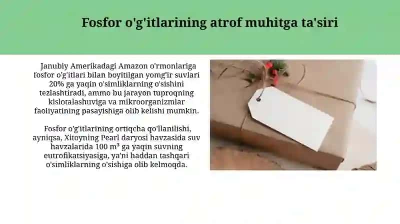 Fosforli ôğitlarning ekalogik roli 3