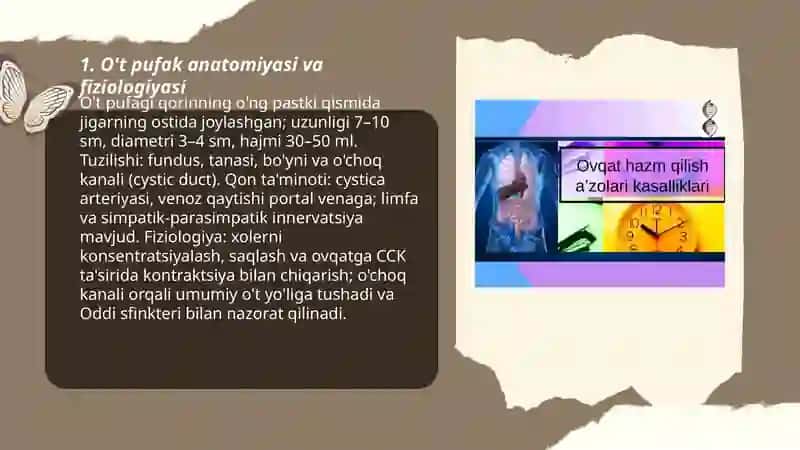 O't pufak anatomiyasi va fiziologiyasi 3