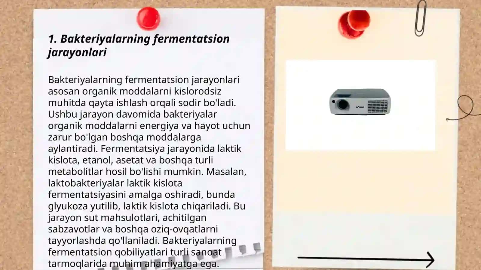 Bakteriyalarning fermentativ, biokimyoviy, serologik xususiyatlarini o'rganish, oziq muhitlar 3