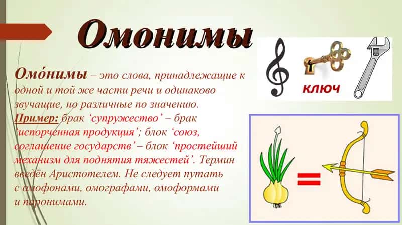 Антонимы. Синонимы. Омонимы. Паронимы. 3