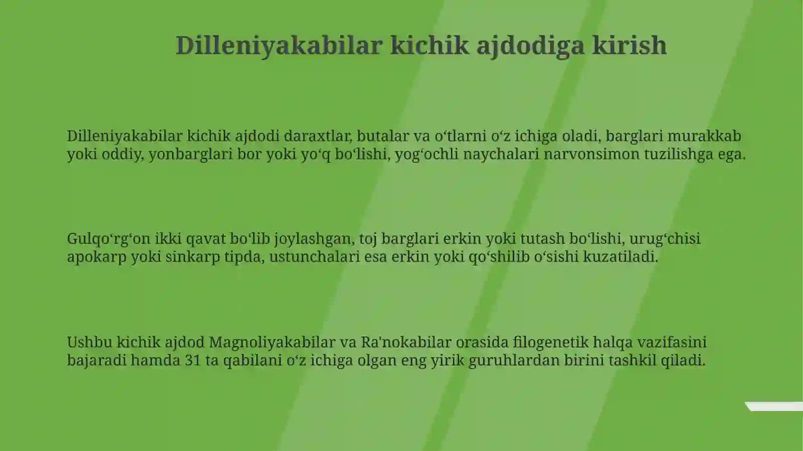 Dilleniyakabilar kichik ajdodining ta'rifi 3