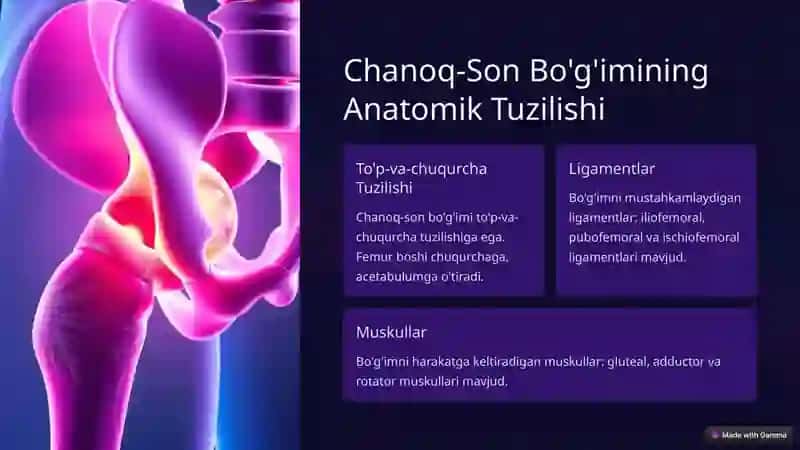 Chanoq va Chanoq-Son Bo'g'imi 3