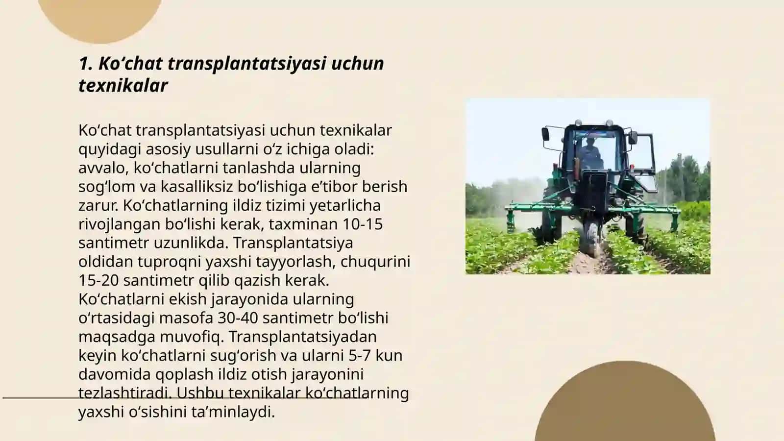 Koʻchat transplantatsiyasi uchun texnikalar 3