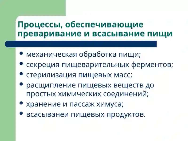 Патофизиология системы пищеварения 3