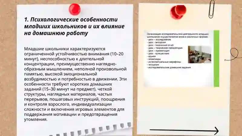 Особенности организации домашней работы младших школьников 3