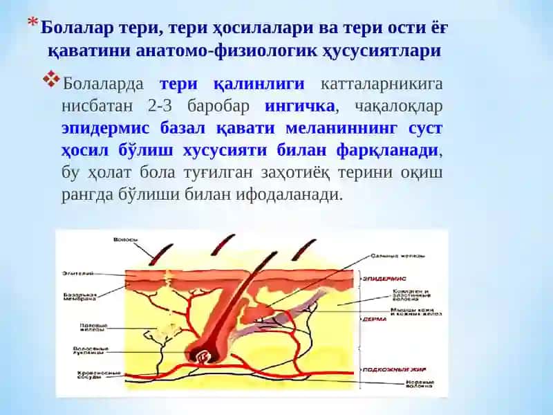 Болаларда тери ва унинг ҳосилалари, тери ости ёғ қавати, шикастланиш семиотикаси 3