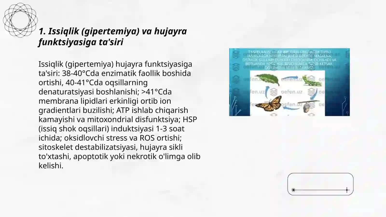 Tirik organizm tòqima va hujayralariga fizik omillarning ta'siri 3