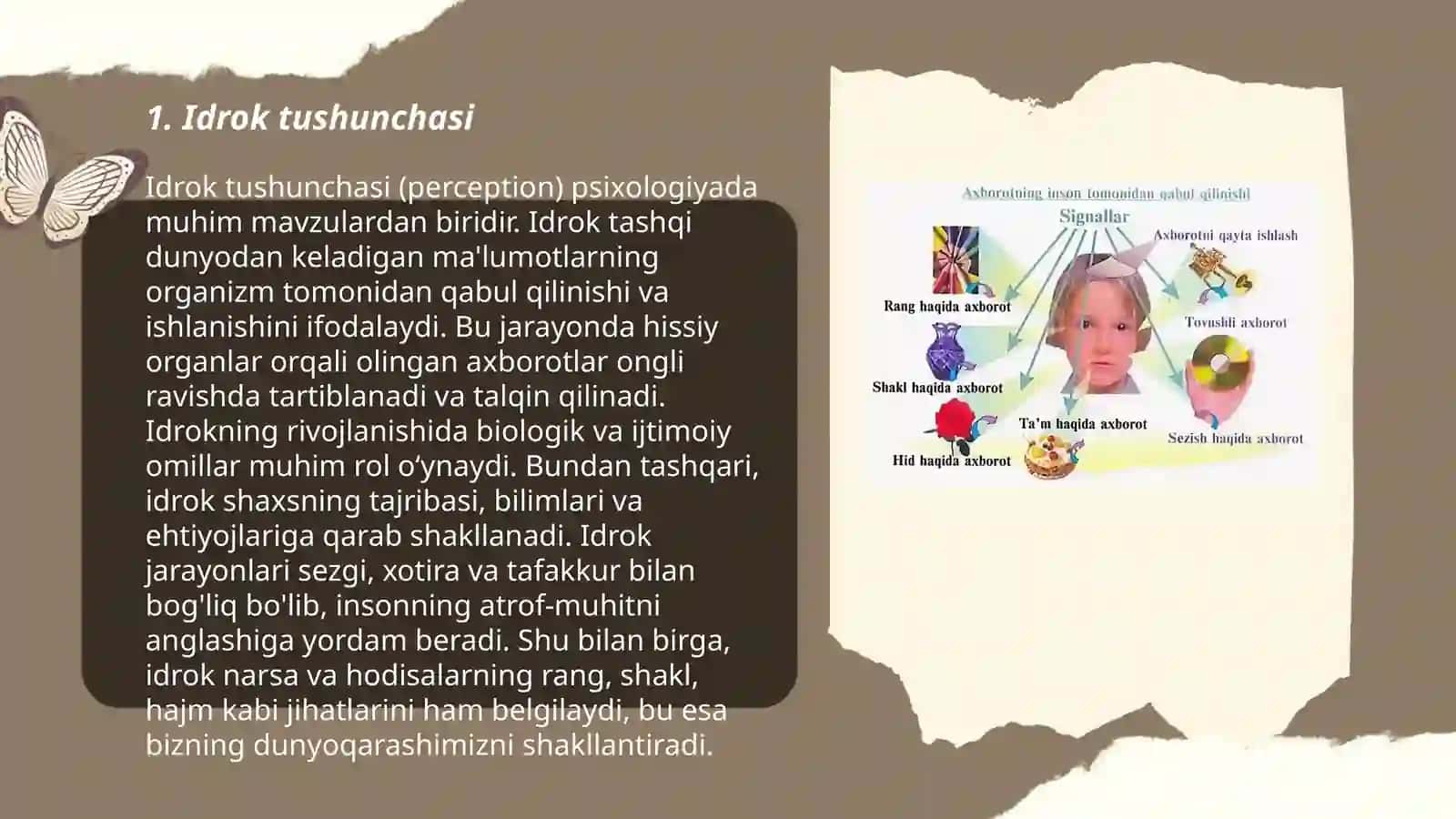 Idrok haqida tushuncha va uning xususiyatlari 3