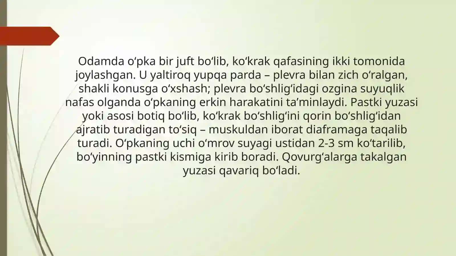 O’pkalar.Plevra.Ko’ks oralig’i va ularning yoshga qarab o’zgarishi.Qiziqarli faktlar 3