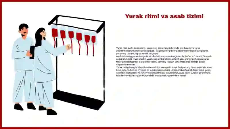 Yurak faoliyatini boshqarilishini o‘ziga xosligi 3