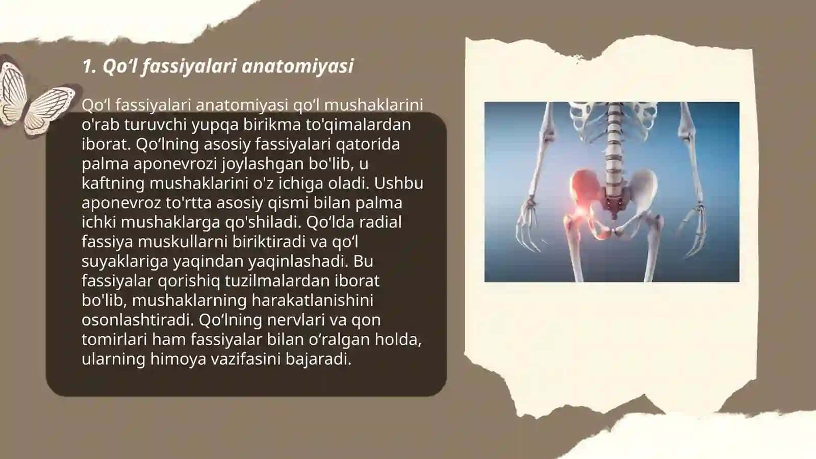 Qoʻl va oyoq muskullarining fassiyalari 3