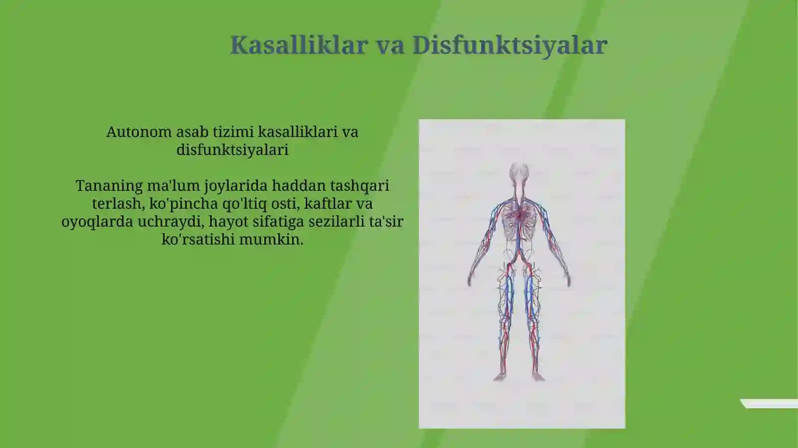 Avtonomnervsistemasi 3