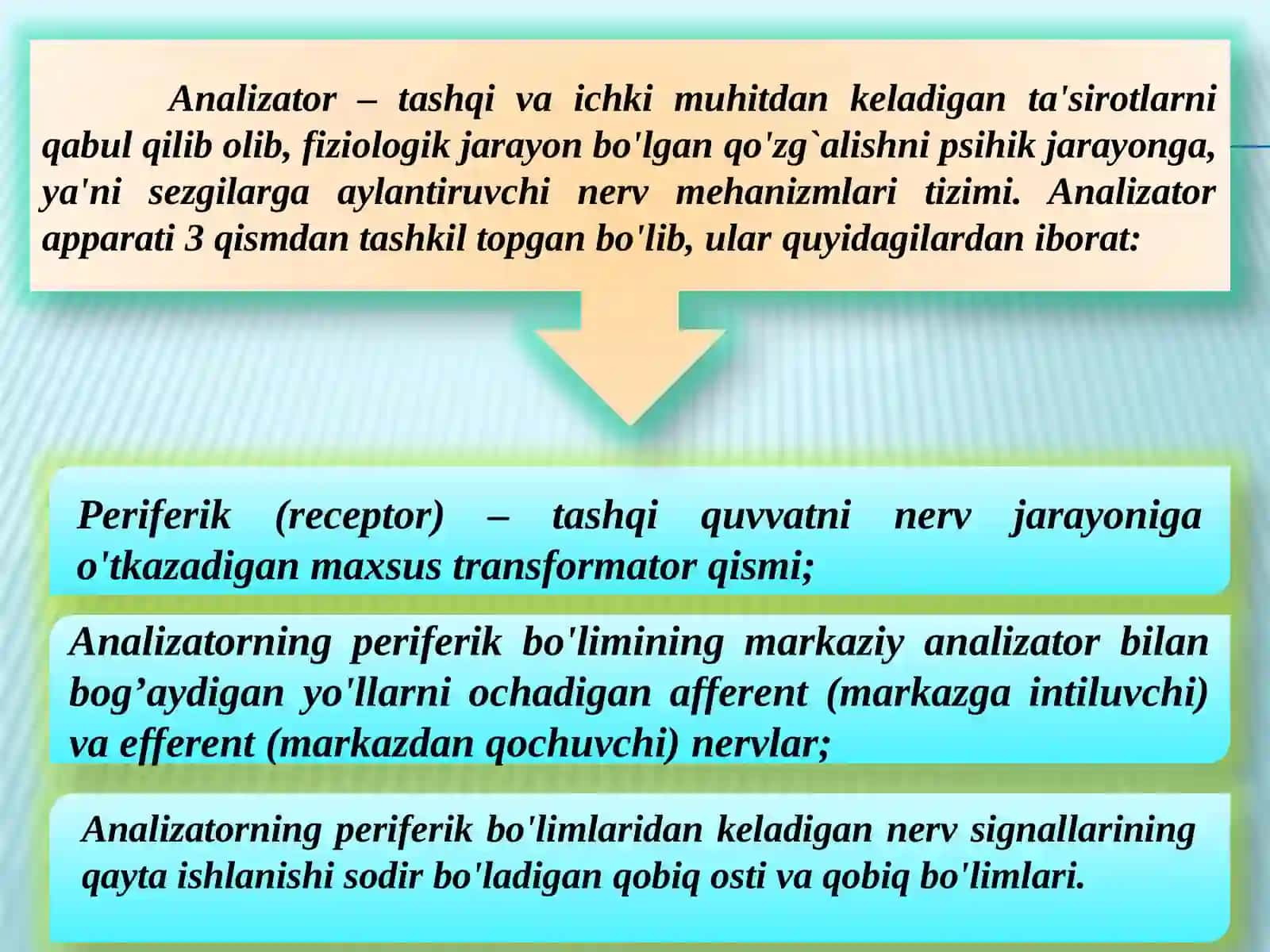 SEZGI 3