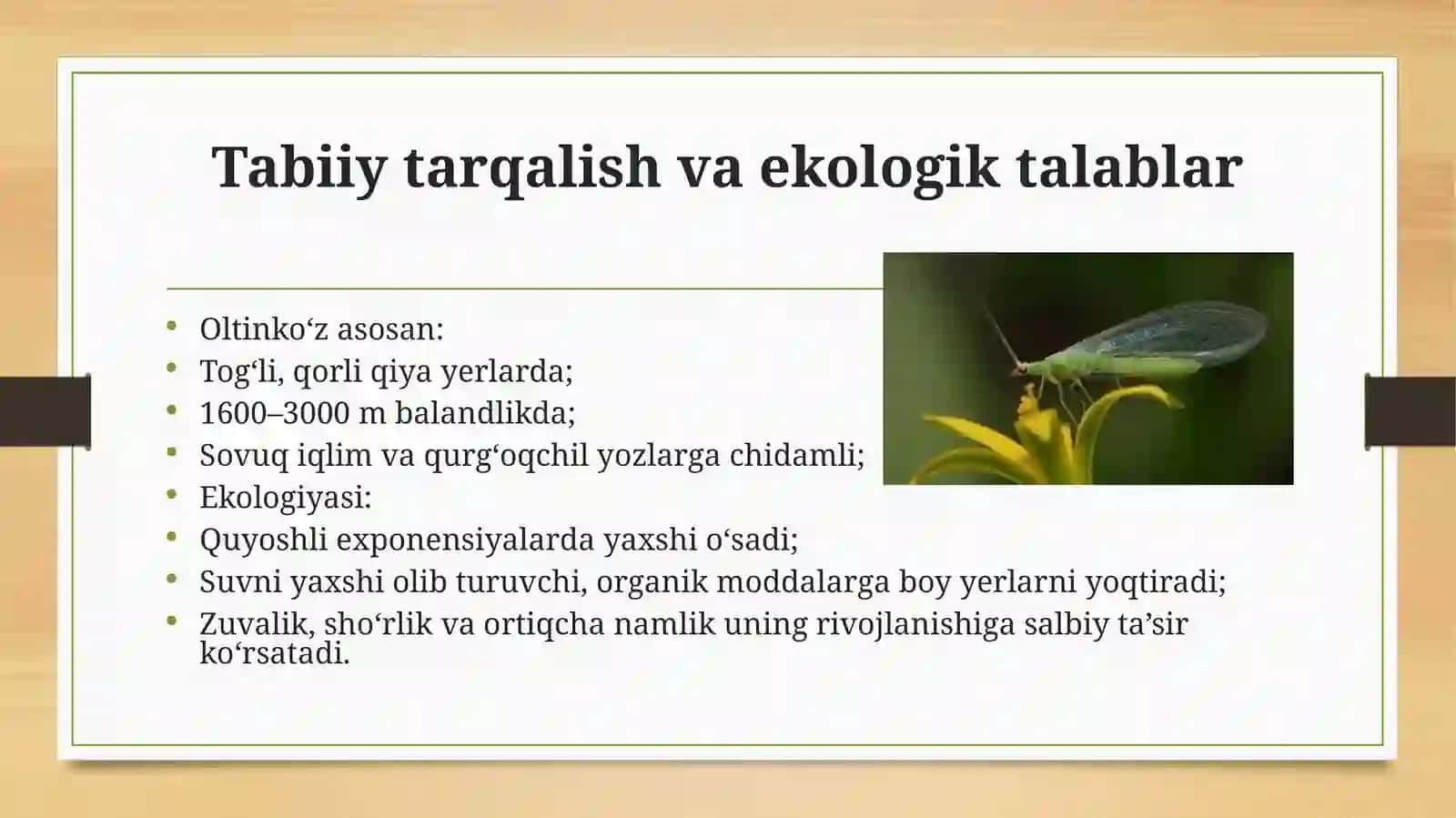 Oltinko'znikopaytirish va qollash 3