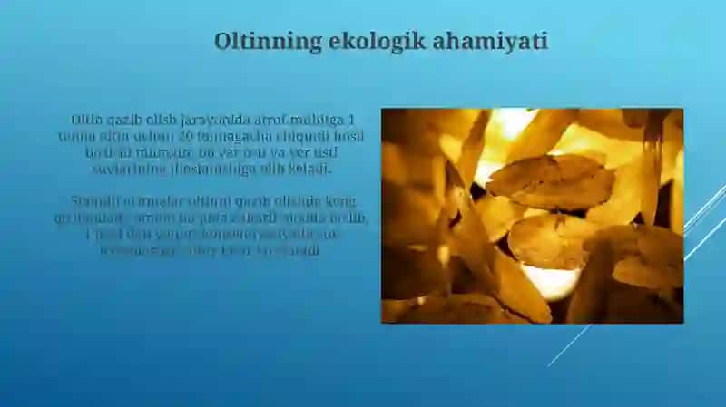 Oltinning Ekologik Ahamiyati 3