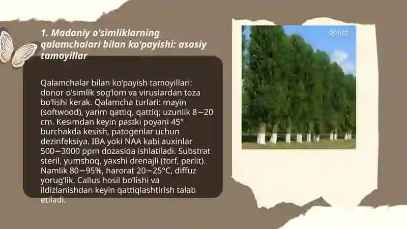 Madaniy osimliklarnining qalamchalari va yovvoyi oʻsimliklarning ildiz bachki va ildiz poyalar yordamida kopayuvchi oʻsimliklar royhati 3