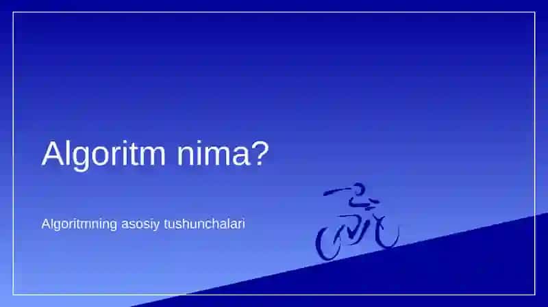 Algoritmni 3