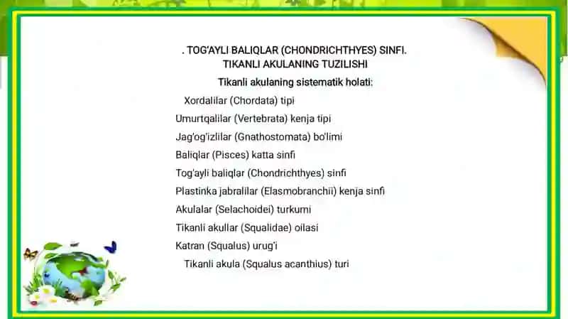 Baliqlar (Pisces) Katta Sinfi 3