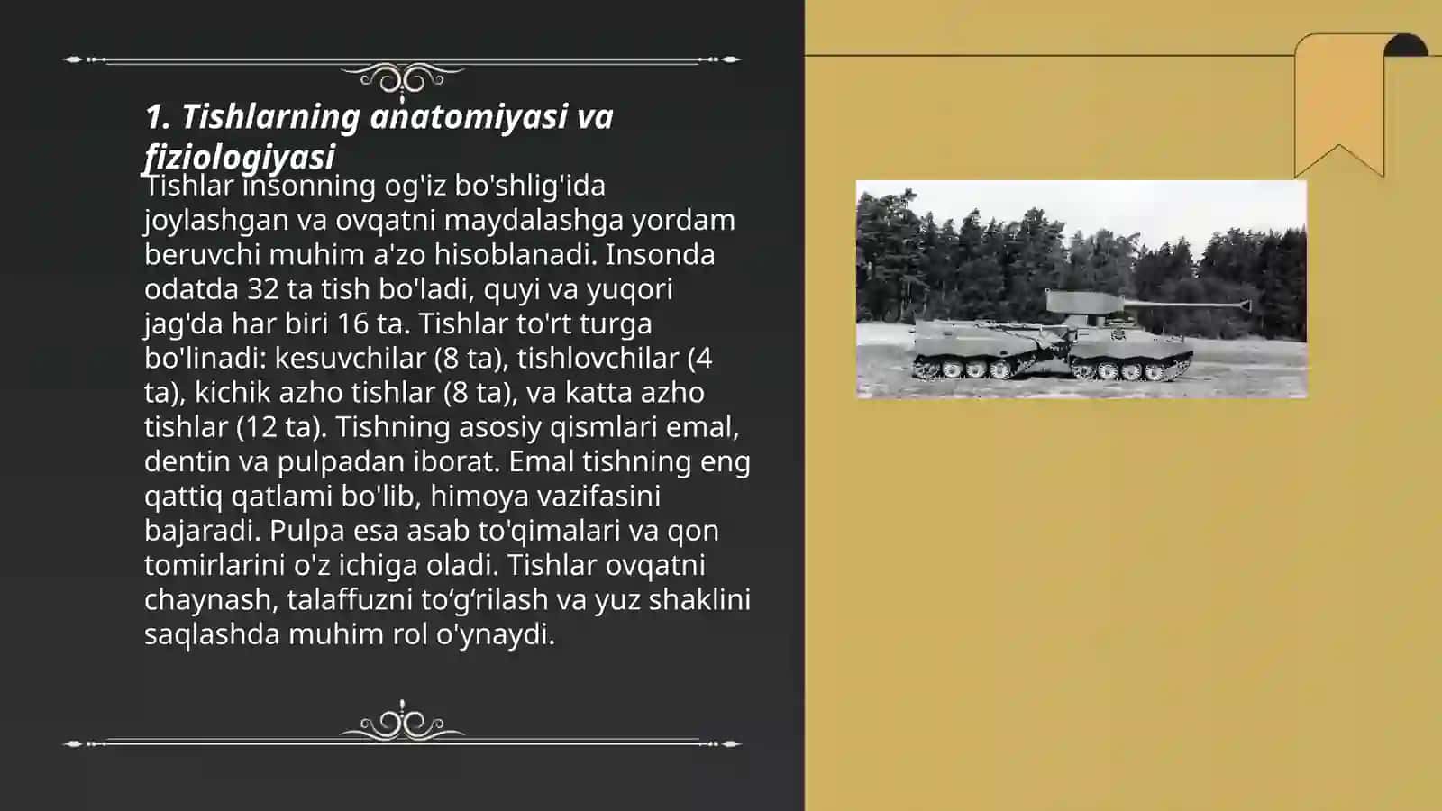 Tishlarning va ChPJBning funksional zo'riqishi 3