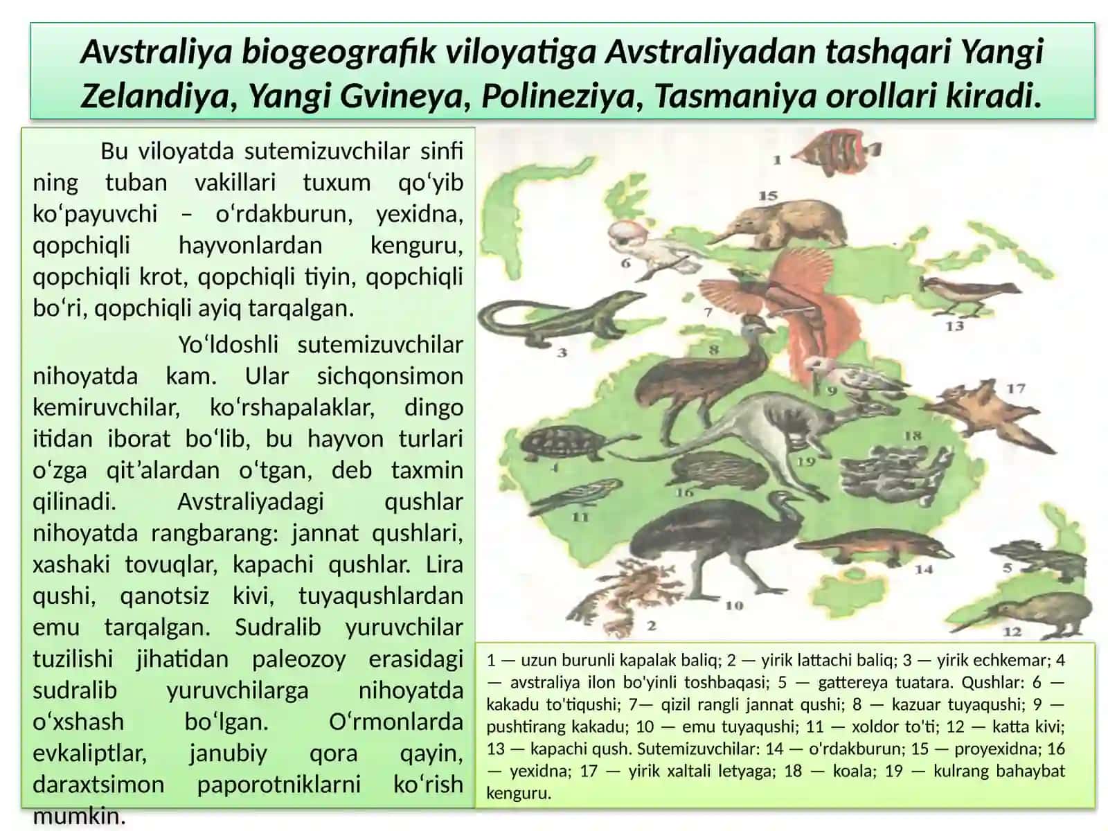 EVOLUTSIYANI ISBOTLASHDABIOGEOGRAFIYA FANI DALILLARI 3