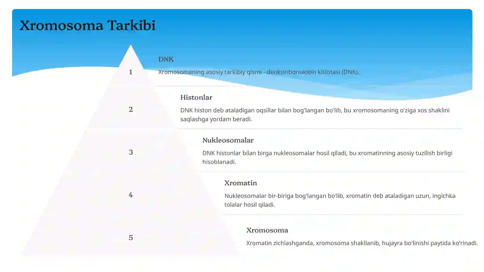 Xromosoma strukturasi 3