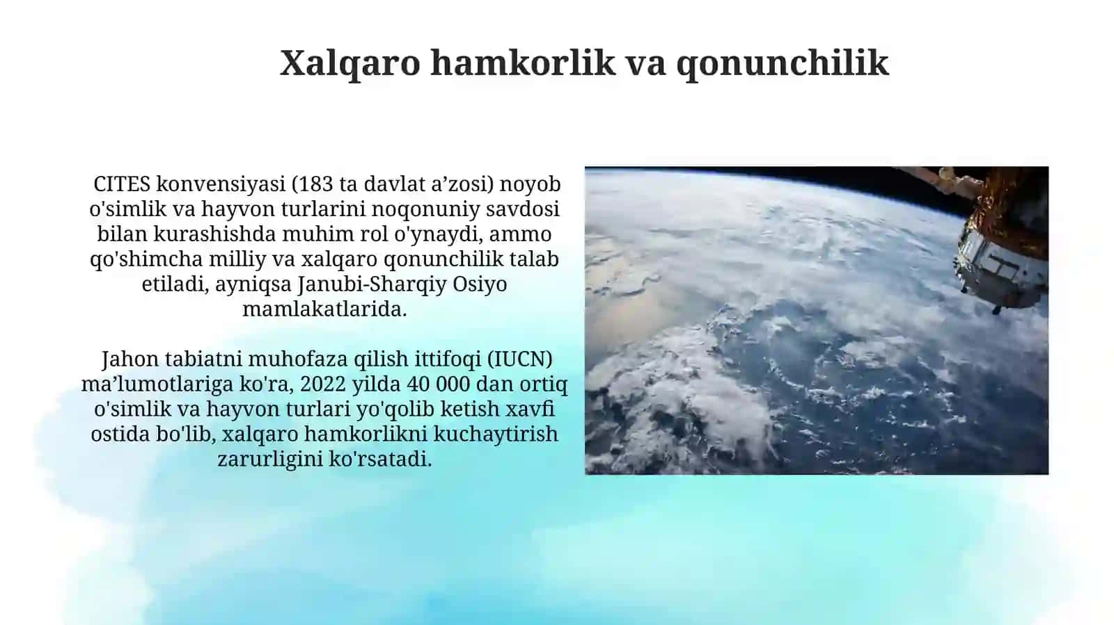 Inson faoliyati ta'sirida yer yuzida ko’plab flora va fauna vakillarining yoʻqolib borayotgani 3