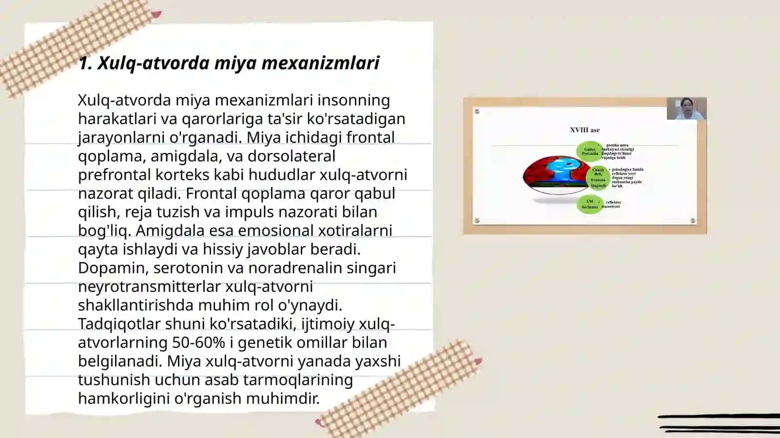 Xulq atvorning nerf fiziyalogik asoslari Ibragimova Chehrona 3