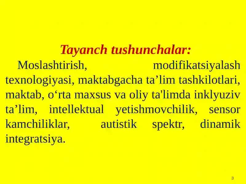 Turli darajadagi intellektual yetishmovchiligi bo‘lgan bolalar uchun inklyuziv ta’lim strategiyalari 3