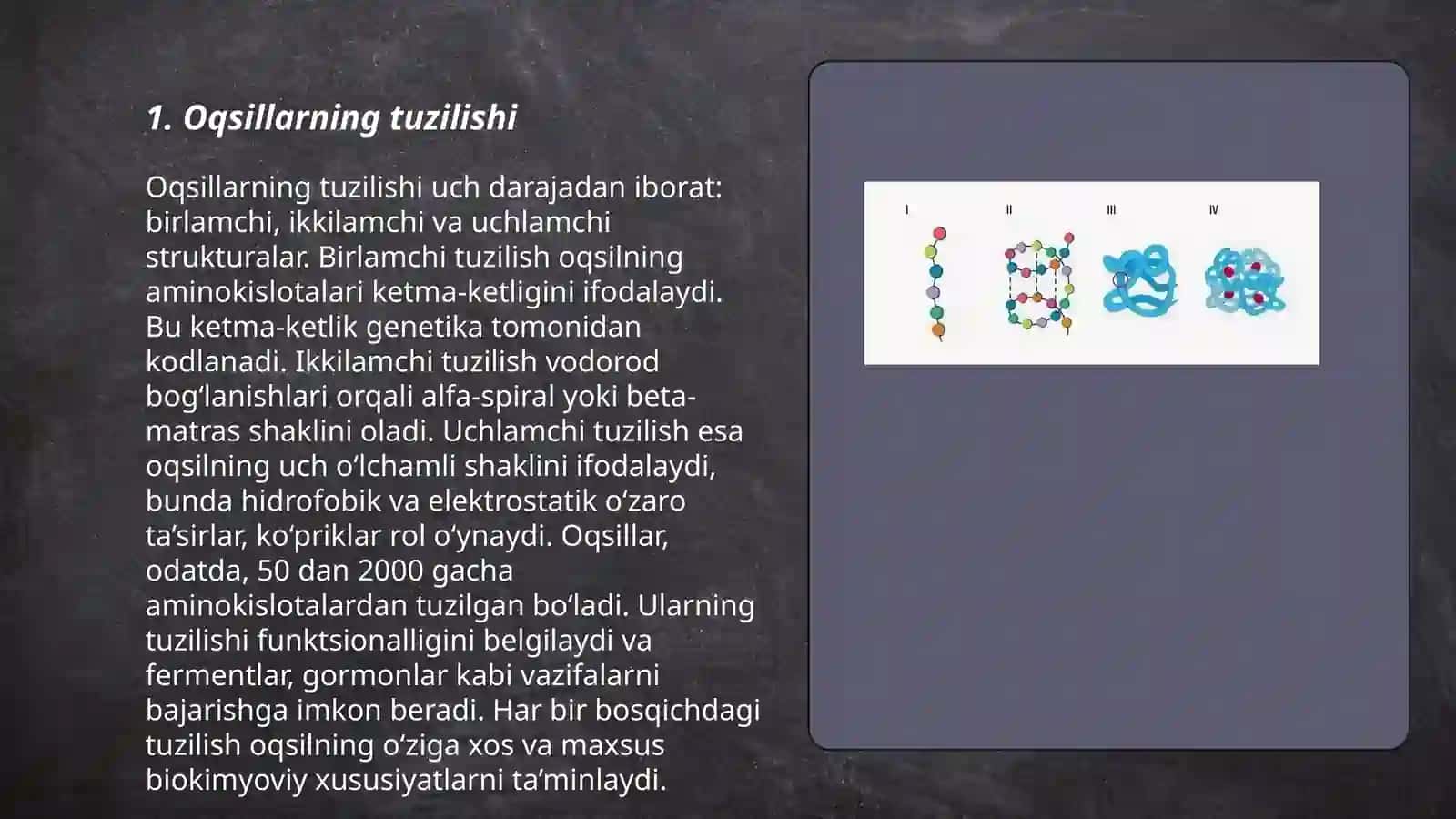 Oqsillar.Aminokoslotalar Hakimova 3