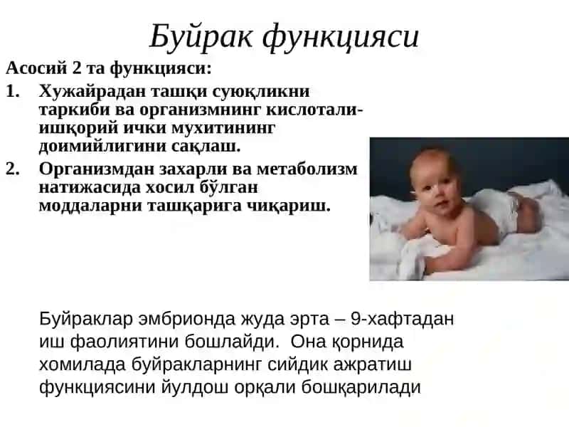 Болаларда сийдик аъзоларининг анатомо-физиологик хусусиятлари ва жарохатланиш синдромлари 3