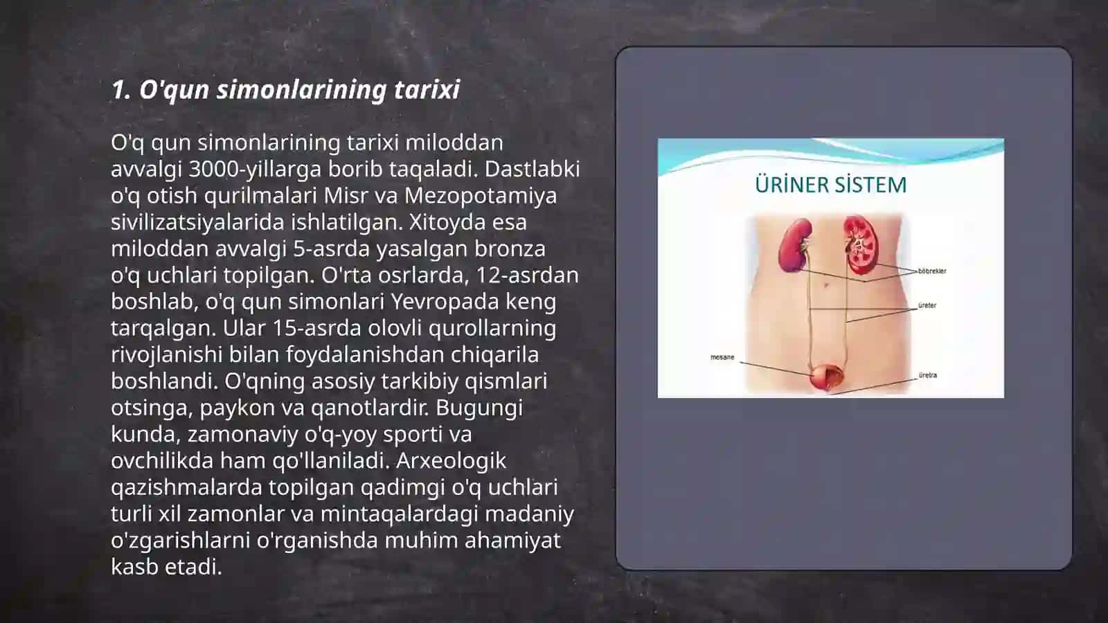 okunsimonlar tuzilishi 3