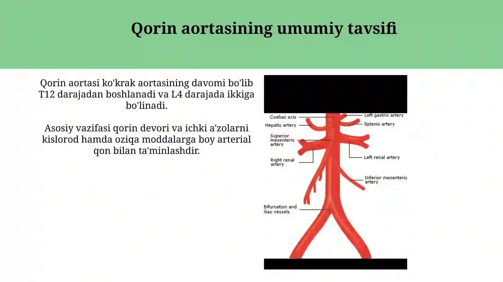 Qorin 3