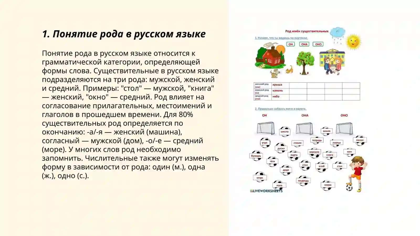 Понятие рода в русском языке 3