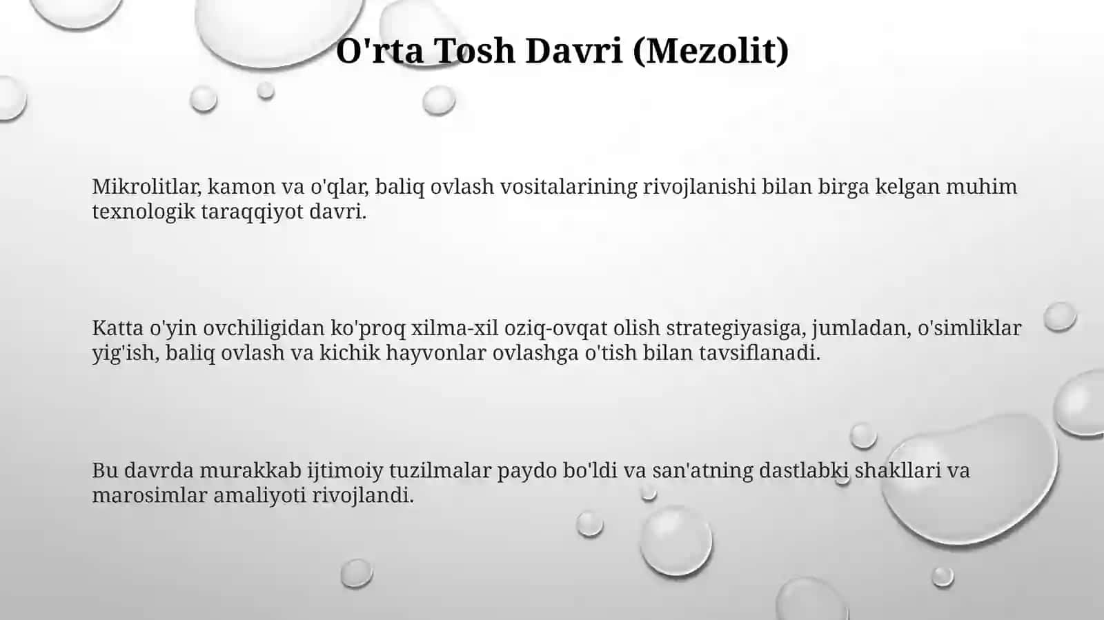 Insoniyatning tarixiy rivojlanishida qadimgi Tosh davri 3