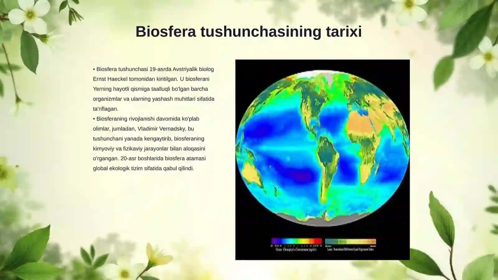 Biosfera tushunchasi va uning chegaralari 3
