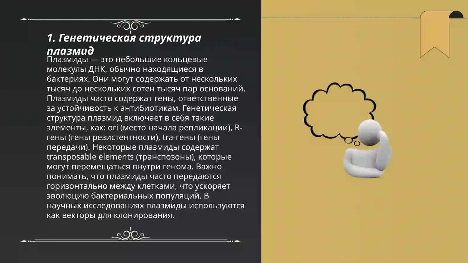 Генетика и изменчивость микроорганизмов Внехромосомные мобильный генетические структуры бактерий (Плазмиды, транспозоны, Is-факторы, умеренные фаги) 3