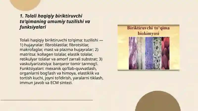 Haqiqiy biriktiruvchi toʻqima 3