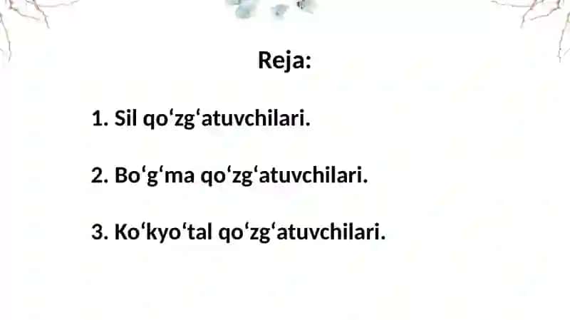 Havo tomchi yuqumli kasalliklari qoʻzgʻatuvchilari: sil, boʻgʻma, koʻk yoʻtal kasalliklari 3