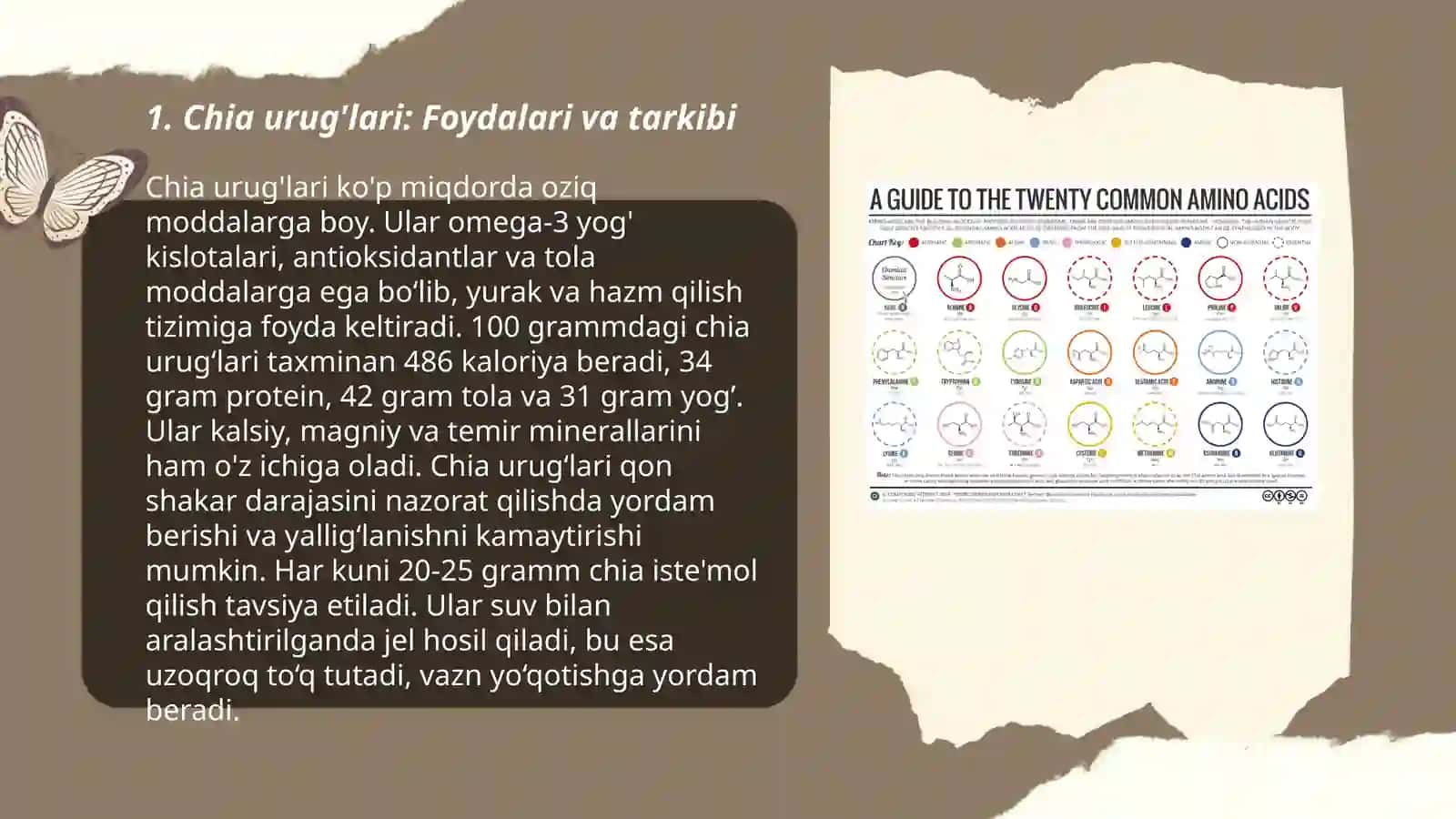 Chia zig’ir kurkuma imbir sumak haqida tuliq ma’lumotlar 3