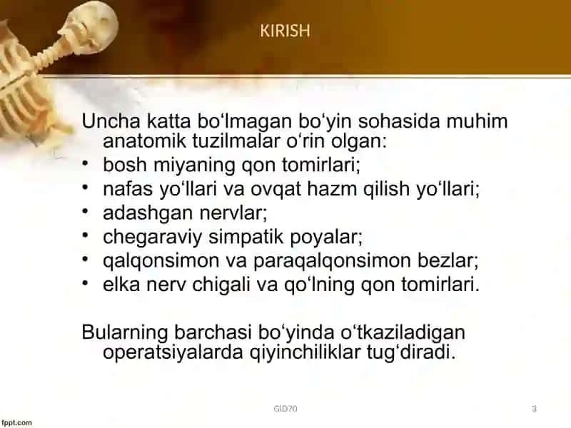 Boʻyin sohasi klinik anatomiyasi 3