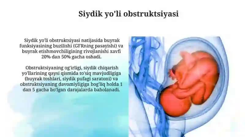 Buyrak va siydik ayiruv azolari kasalliklari 3