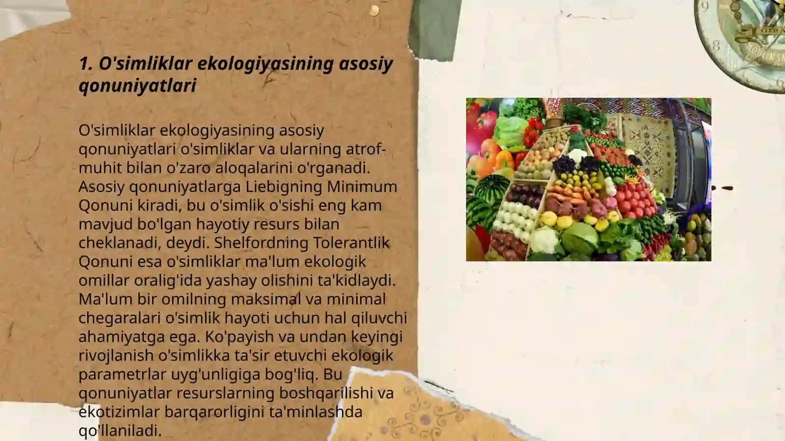 Qoraqalpoģistonda tabiiy ilmlarning rivojlanishi òsimliklar ekologiyasi,hayvonlar ekologiyasi 3